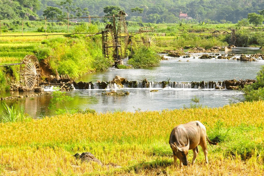 Vietnam Mountain Retreat & Healing